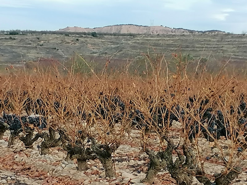 Arnedo Solar Plant - instalador