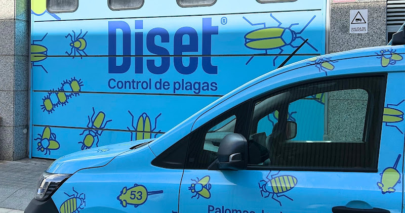 Diset Limpiezas Verticales | Limpiar placas solares - instalador