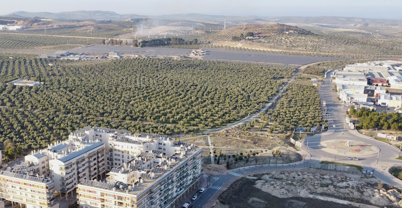 El parque solar Los Olivares - instalador
