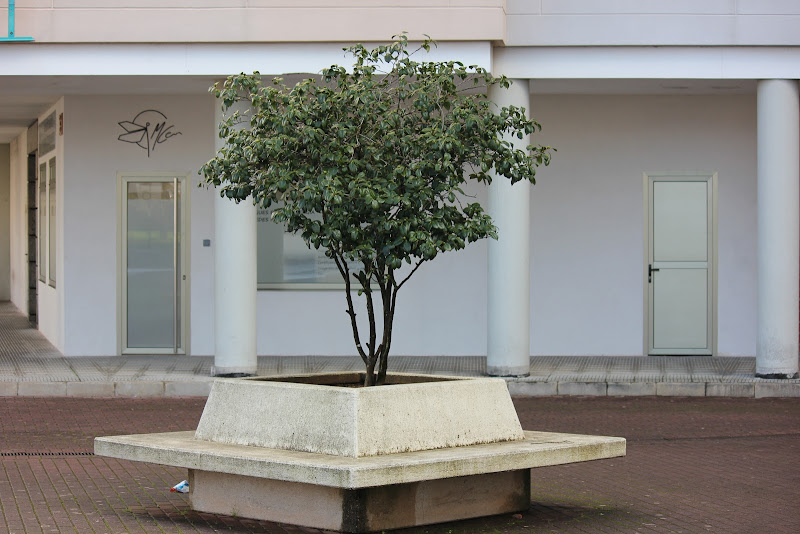 MCen - instalador