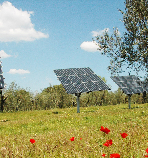 Solteco
