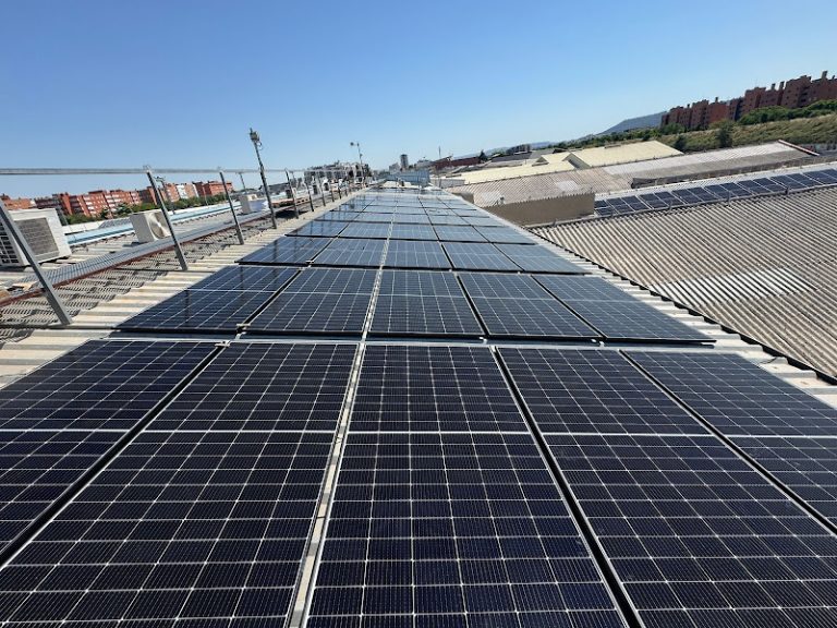 Soluciones Renovables Carpe