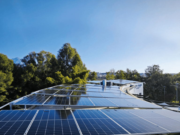 Vector Solar – Autoconsumo y Placas Solares en Granada